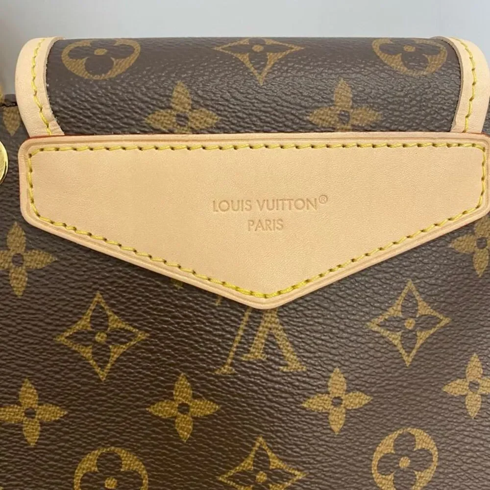 Louis Vuitton brand louis